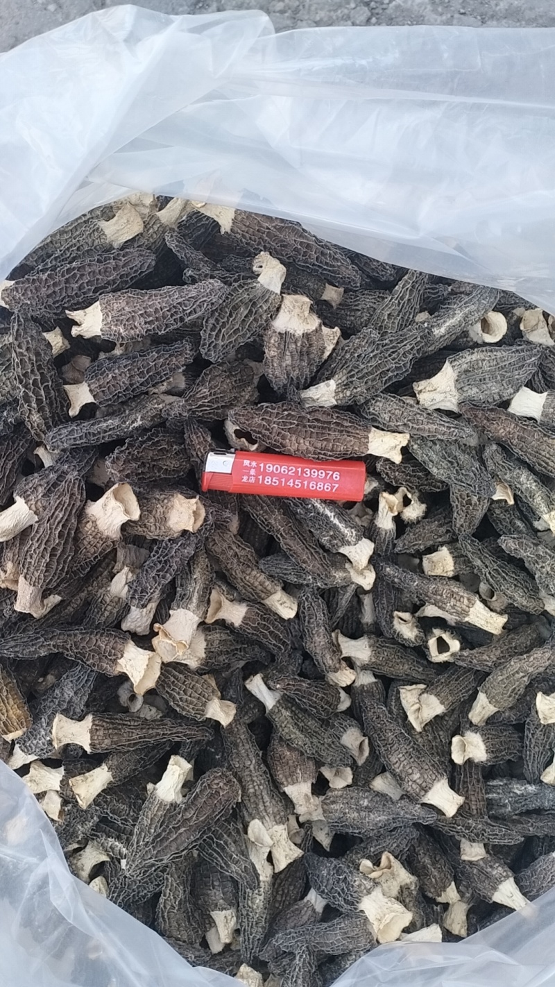 批发羊肚菌，一手货源，全国代收代卖，对接商超，货源稳定