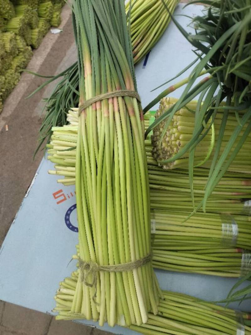 红帽蒜苔少量上市价格随行，需要的老板联系