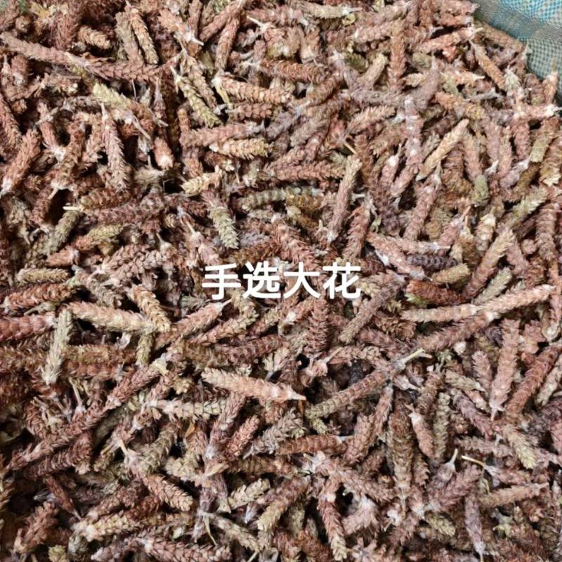 2025夏枯草夏枯球，精品手选大花，色靓个大，颗颗饱满