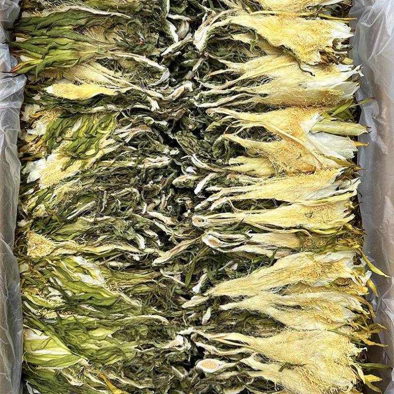 霸王花批发优质霸王花规格齐全可供实体店量大价优