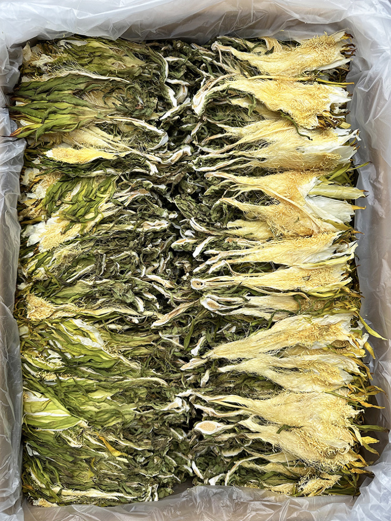 霸王花批发优质霸王花规格齐全可供实体店量大价优