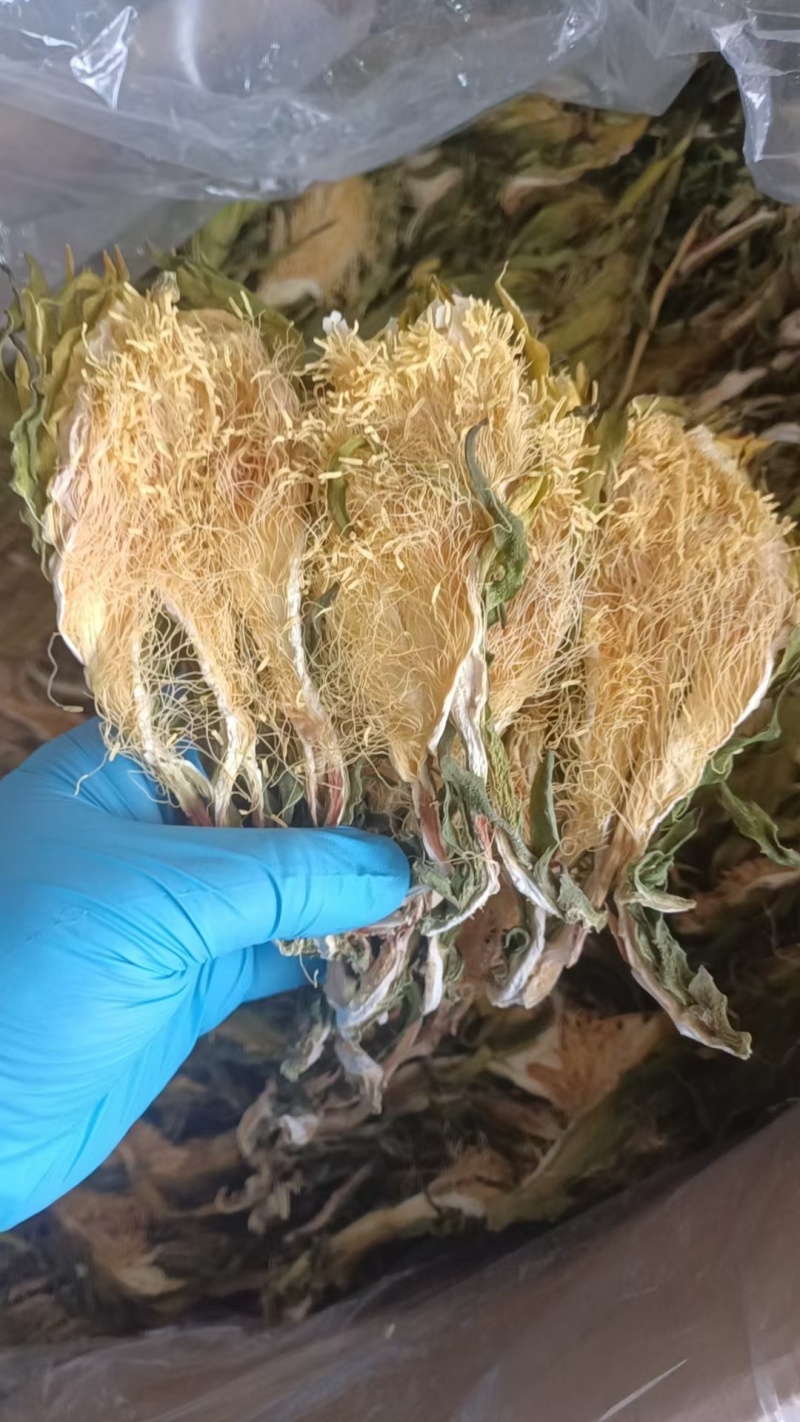 霸王花批发优质霸王花规格齐全可供实体店量大价优
