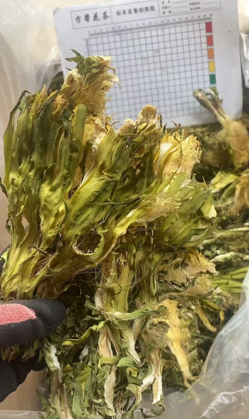 霸王花批发优质霸王花规格齐全可供实体店量大价优