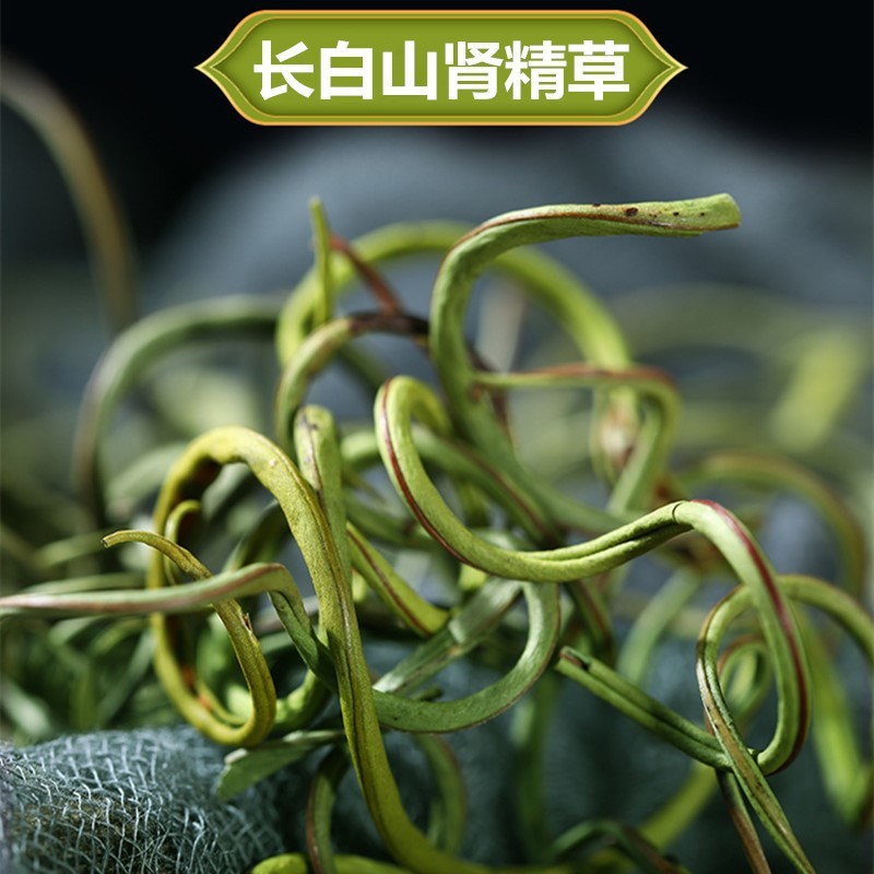 化石草小叶肾精茶规格齐全可供实体店批发零售量大价优