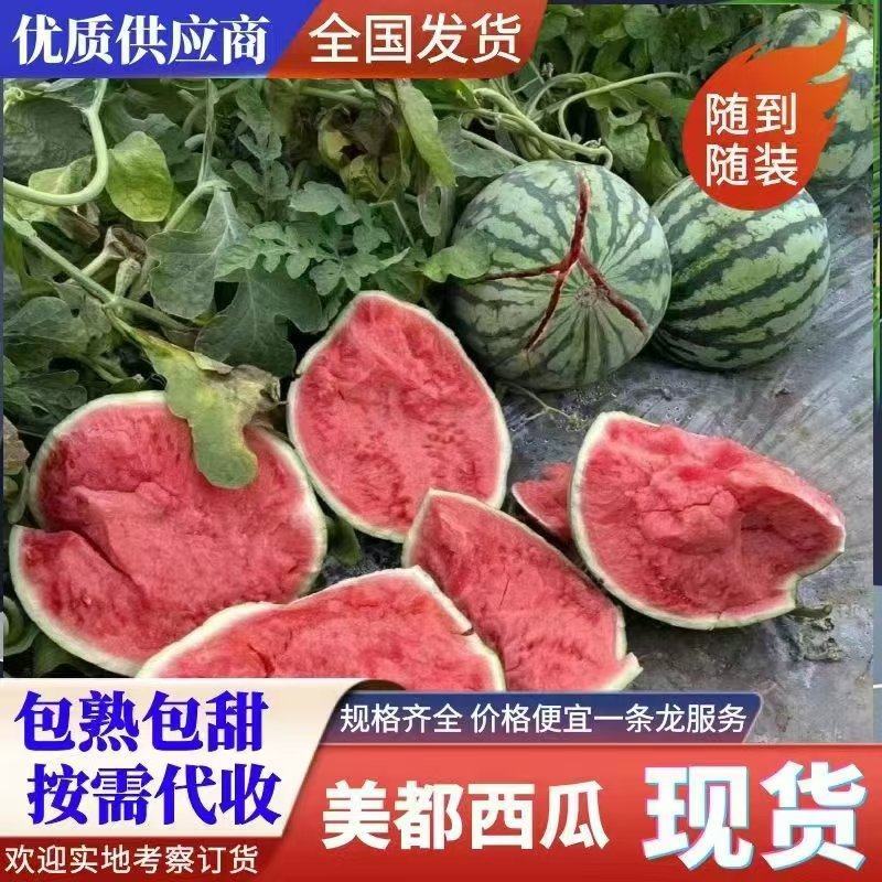 【优选】广东雷州美都西瓜产地一手货清甜可口对接全国