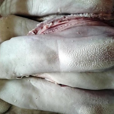 清真熟牛舌/生牛舌，查看链接详情保证质量，量大从优可塑封