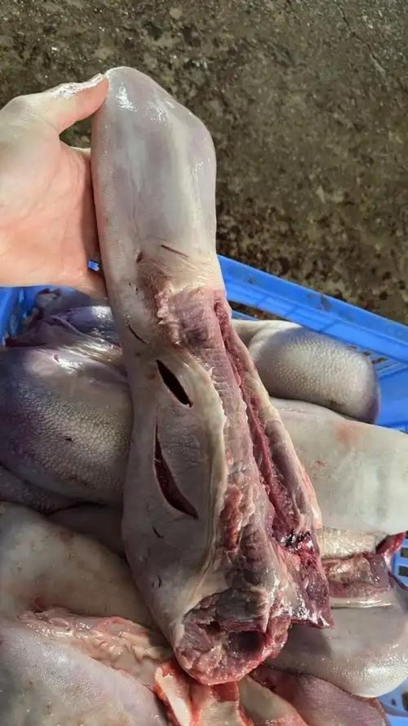 清真熟牛舌/生牛舌，查看链接详情保证质量，量大从优可塑封