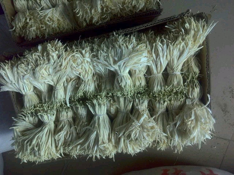 白玉簪花干花