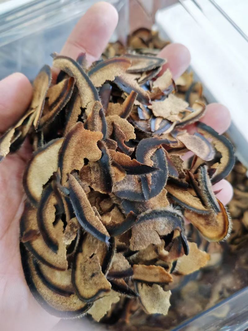 鹿茸破损半腊片，长白山鹿茸片，自用款，性价比高