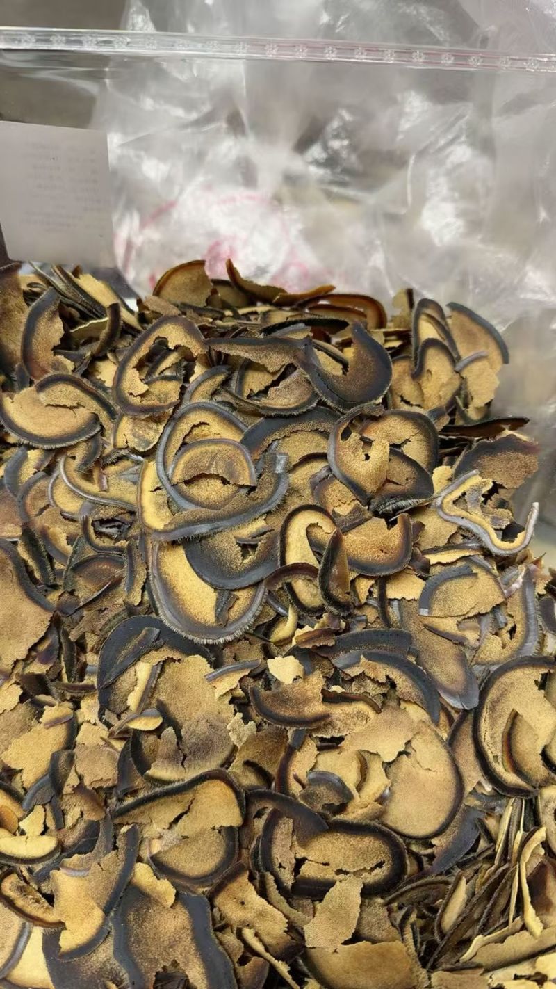 鹿茸破损半腊片，长白山鹿茸片，自用款，性价比高