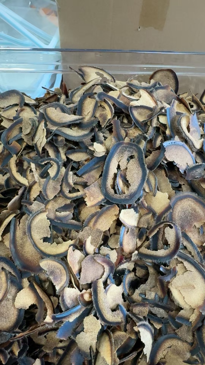 鹿茸破损半腊片，长白山鹿茸片，自用款，性价比高