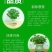 铜钱草水培盆栽室内外招财金钱草吸甲醛绿植花卉