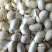 蚕茧纯茧无虫颜色白干净无杂质产地直销一手货源