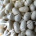 蚕茧纯茧无虫颜色白干净无杂质产地直销一手货源