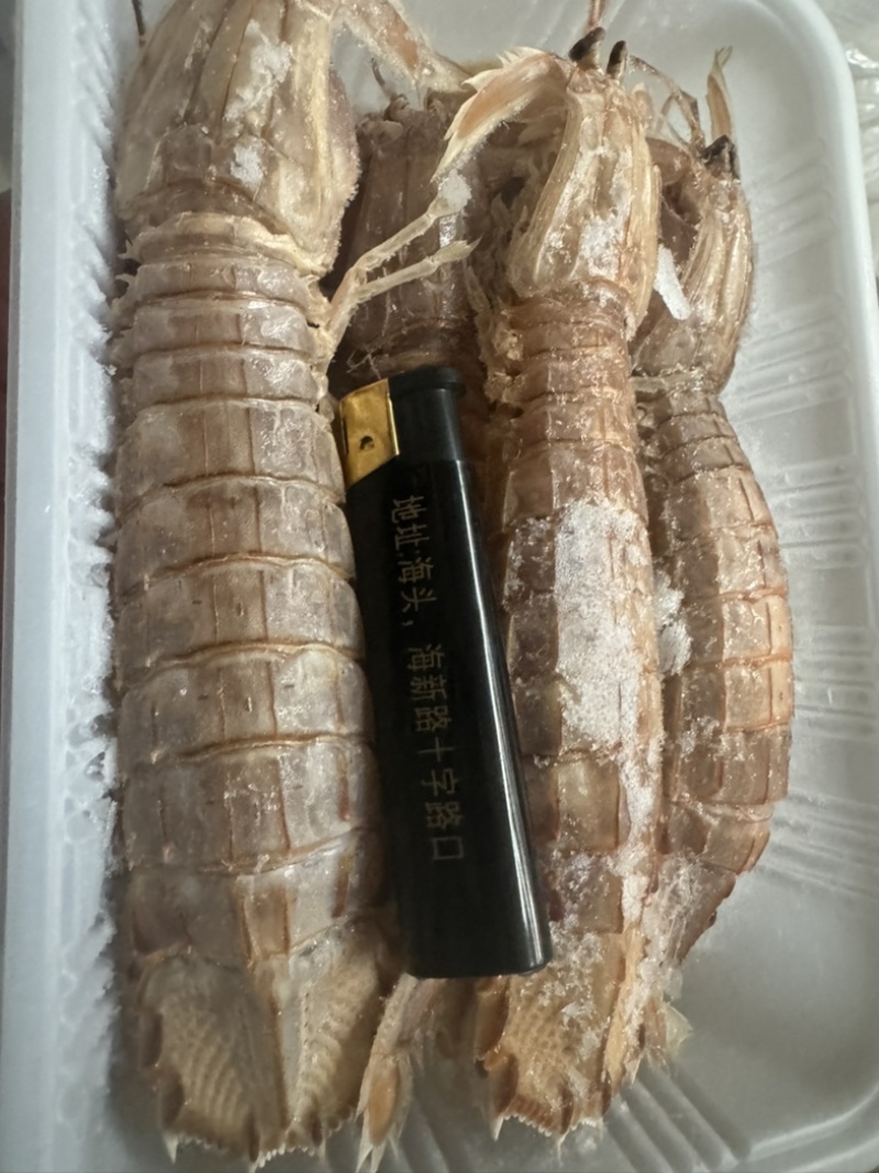 皮皮虾
