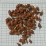 栀子,颜色好新货无硫,产地直发实拍现货,24小时内发货