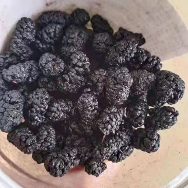 桑椹黑桑椹干桑椹食用桑椹桑椹干无沙无染色