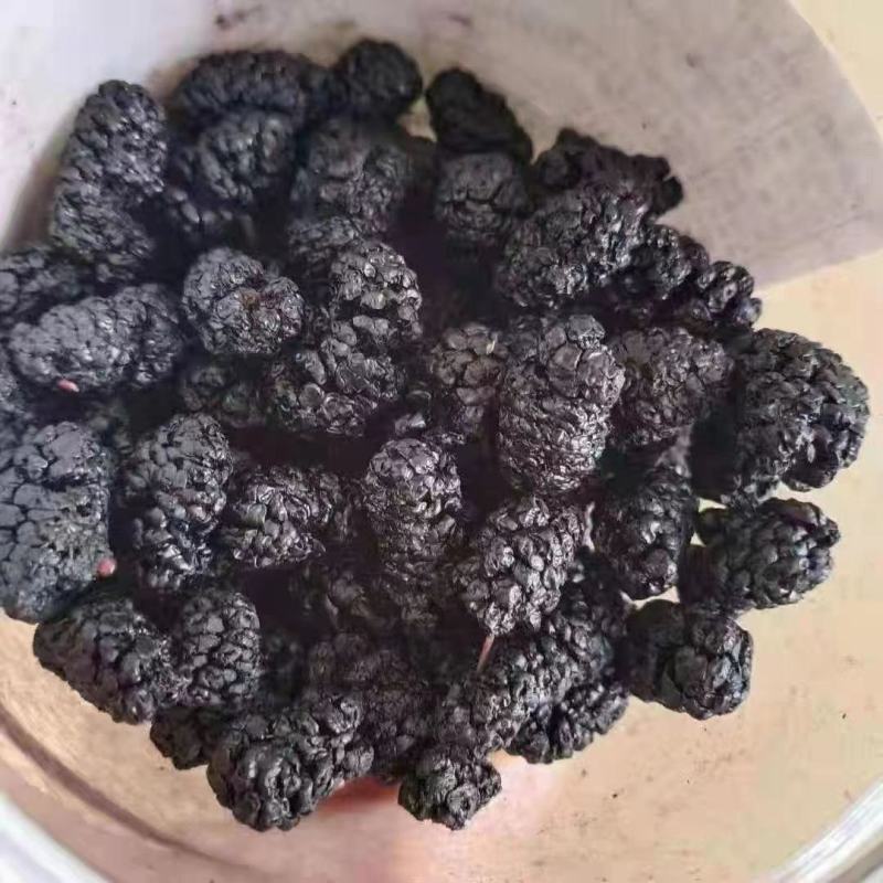 桑椹黑桑椹干桑椹食用桑椹桑椹干无沙无染色