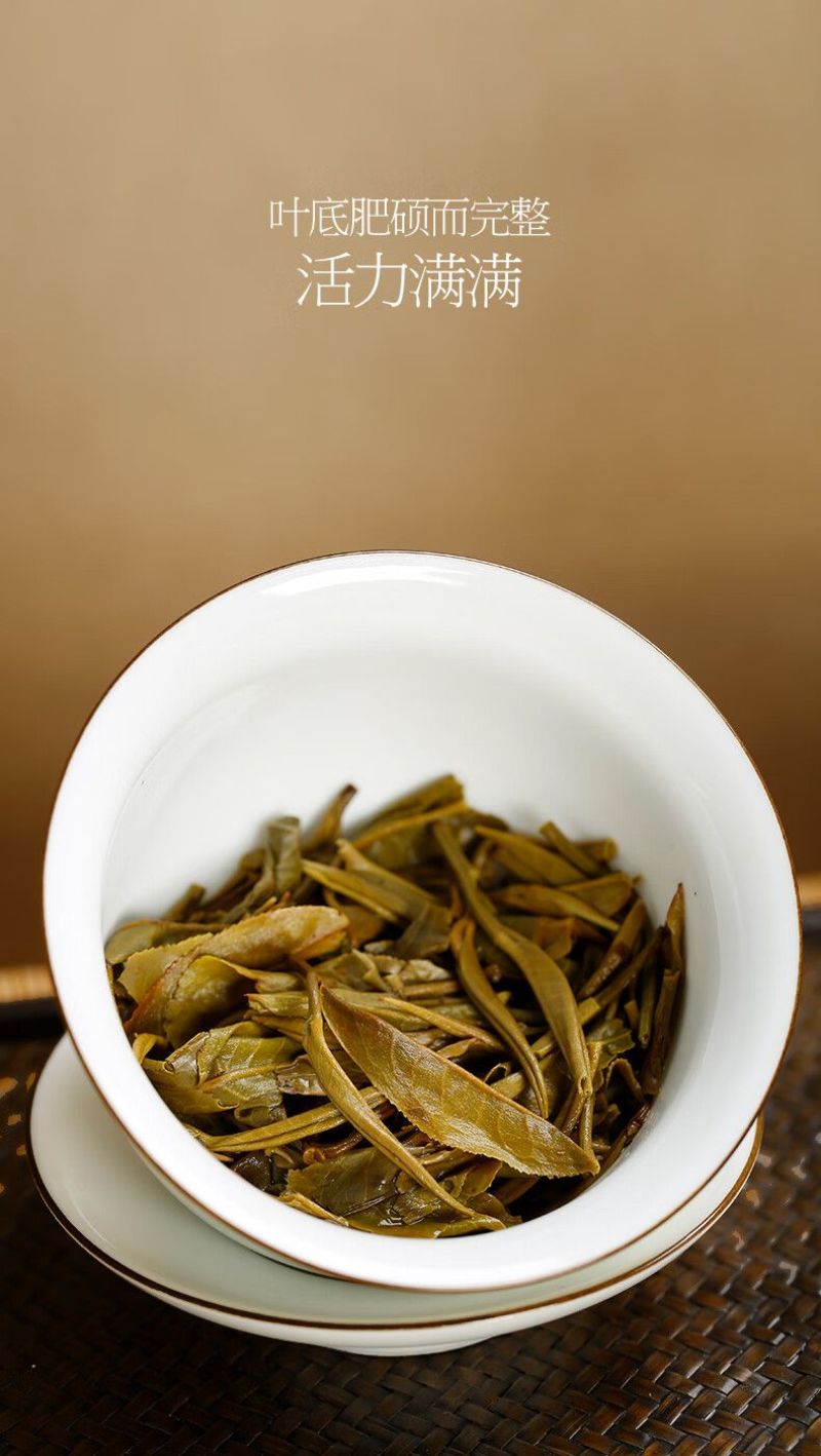 云南西双版纳普洱茶生茶贡茶易武古六大茶山革登古茶园生普3