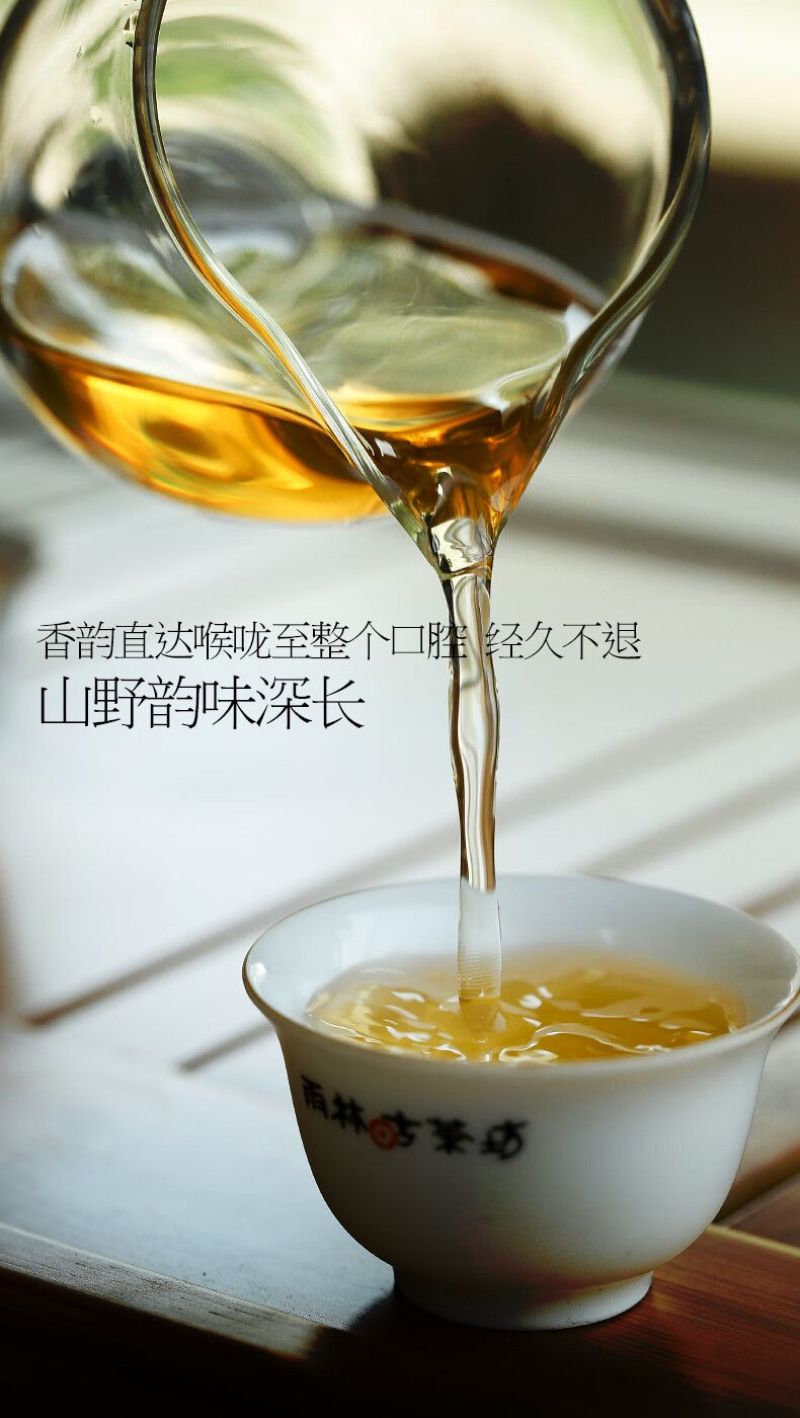 云南西双版纳普洱茶生茶贡茶易武古六大茶山革登古茶园生普3
