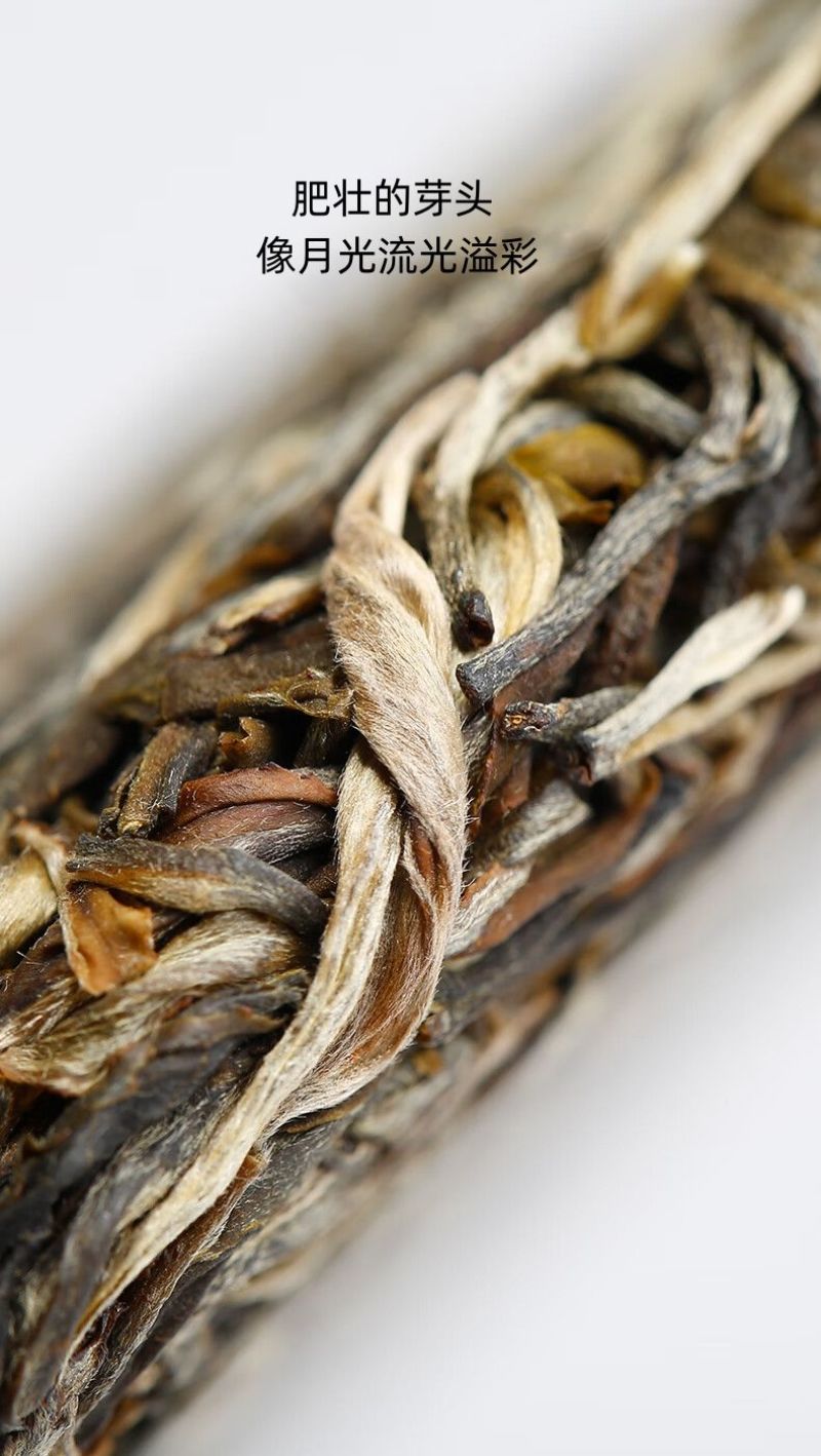 云南西双版纳普洱茶生茶贡茶易武古六大茶山革登古茶园生普3