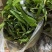 四川白芨苗白芨种苗中药材苗三叉白芨苗100颗起发送种