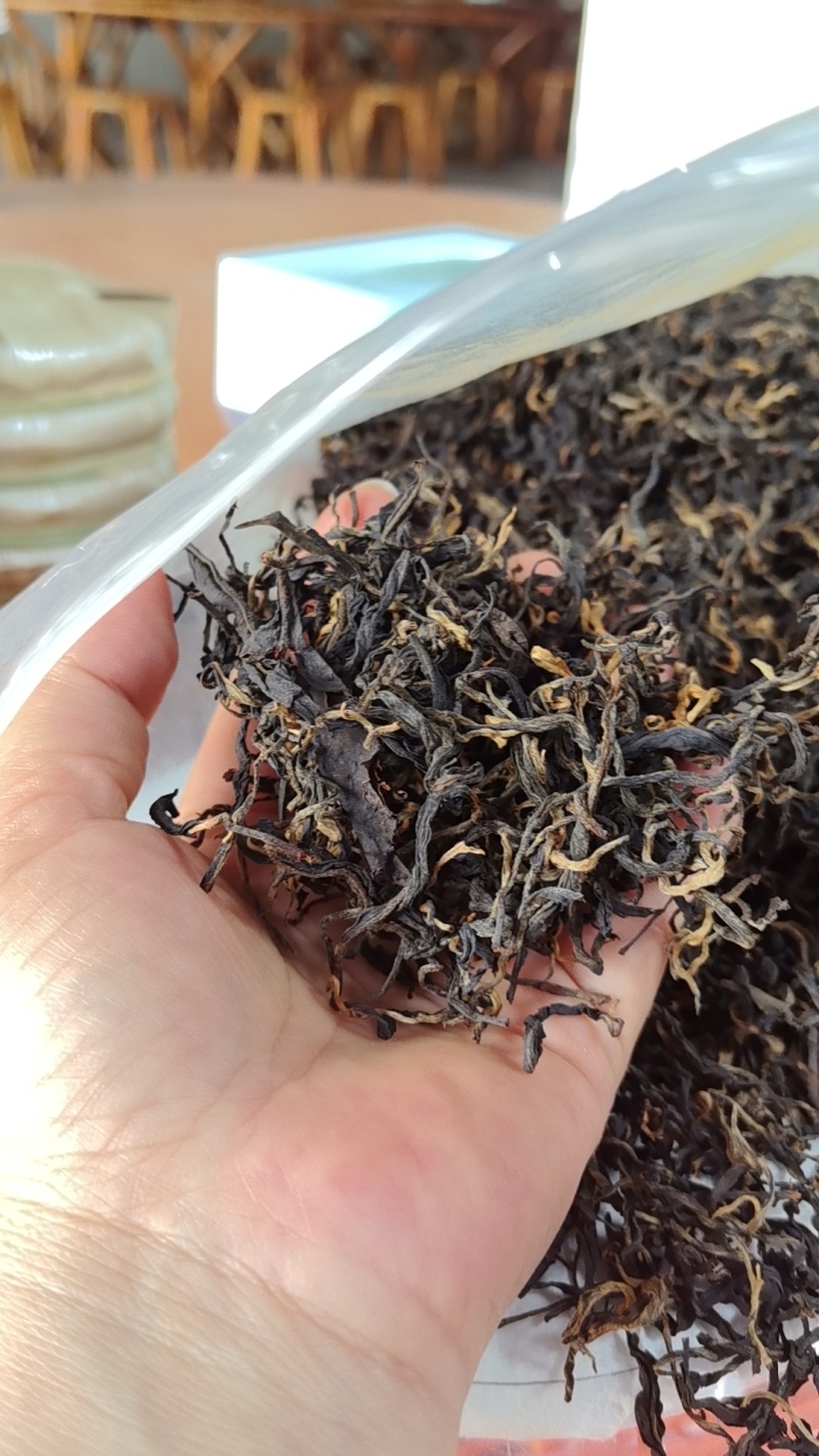 云南西双版纳普洱茶生茶贡茶易武古六大茶山革登古茶园生普3