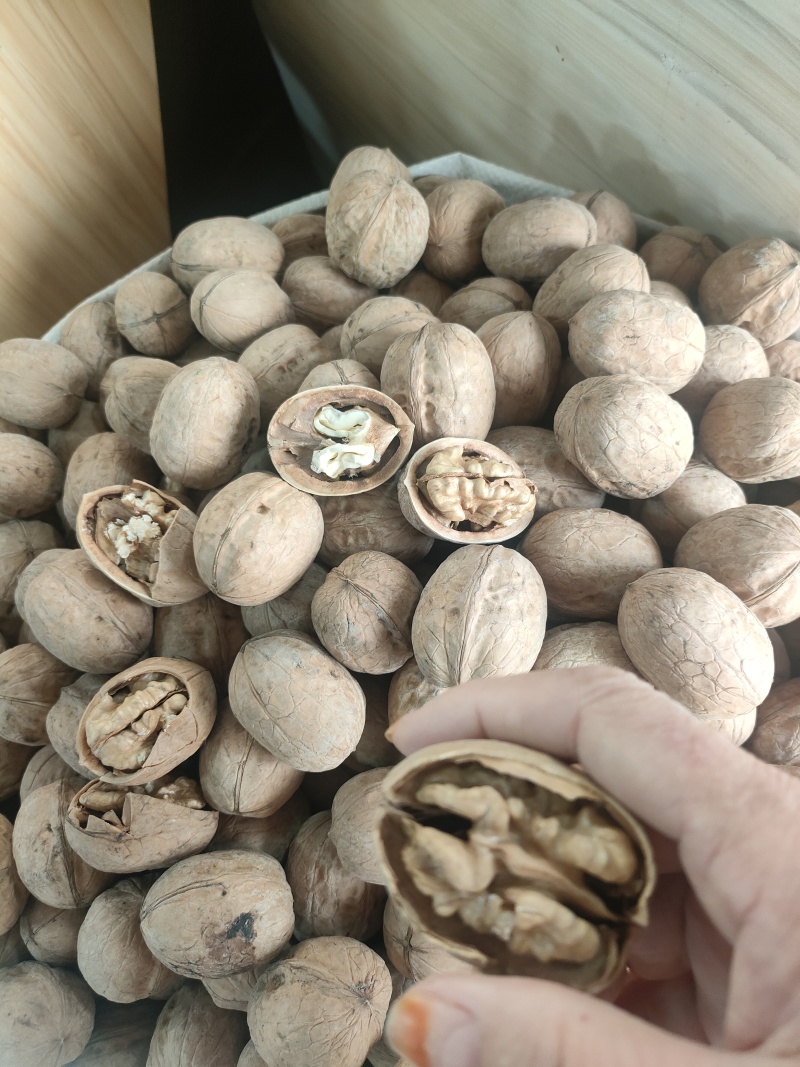精品阿克苏纸皮核桃现货速发量大从优全国可发