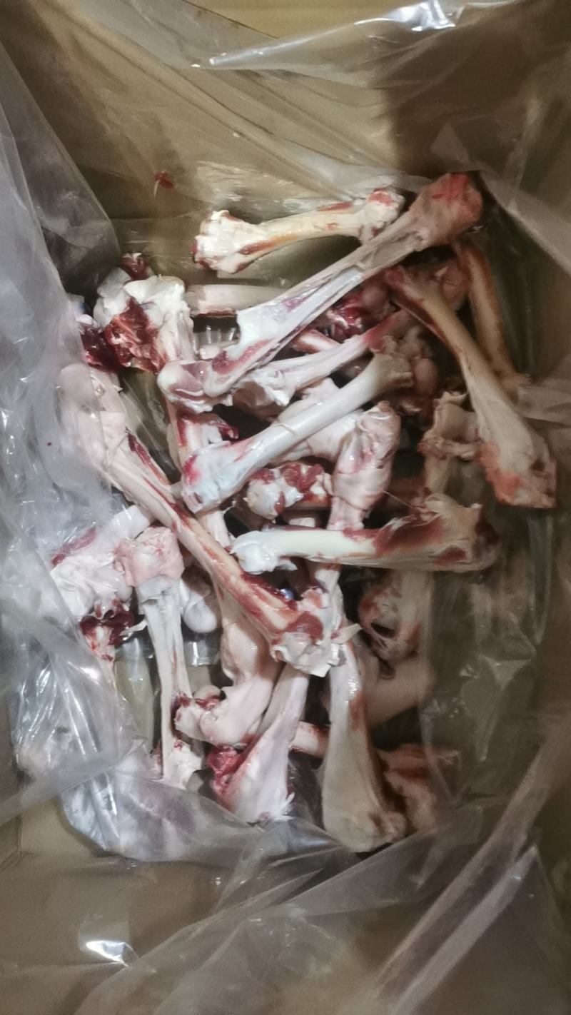 内蒙古乌兰察布草地羊棒骨