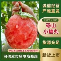 安徽宿州砀山小糖丸西瓜大量上市，瓜熟瓤甜，欢迎看货咨询