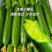 水果黄瓜小青瓜小乳瓜山东寿光/基地现货供应/可全国发货