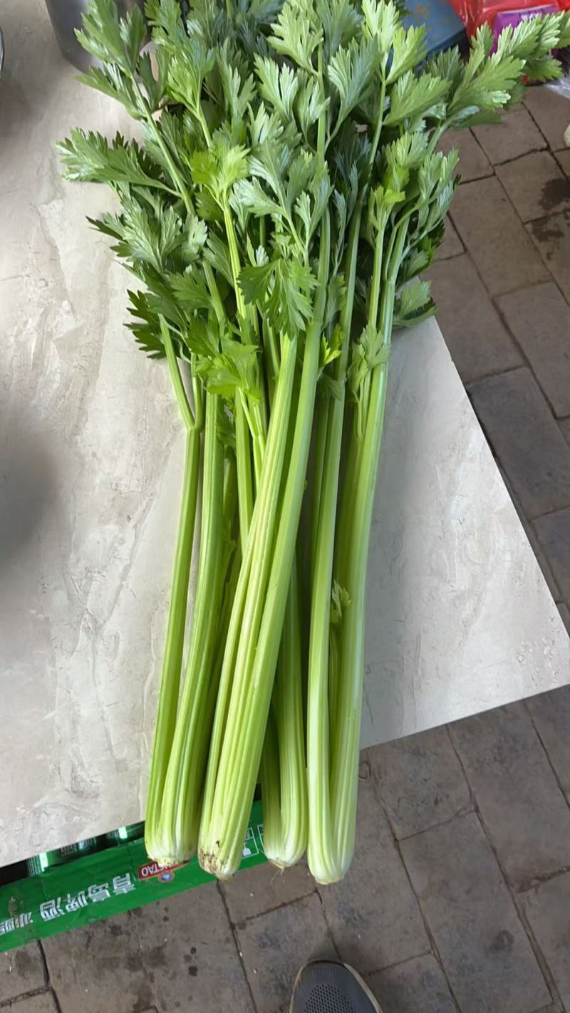 100亩芹菜出售，有意者来谈