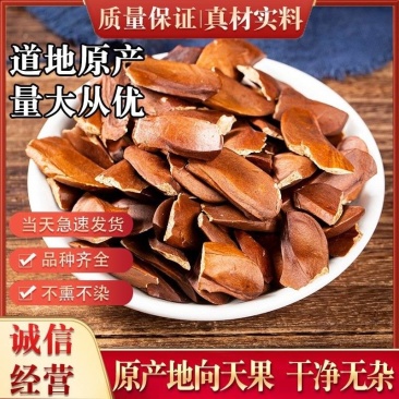 向天果批发优质向天果规格齐全量大价优