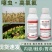 22%噻虫高氯氟抗性蚜虫蓟马蝼蛄地蛆韭蛆噻虫嗪菊酯