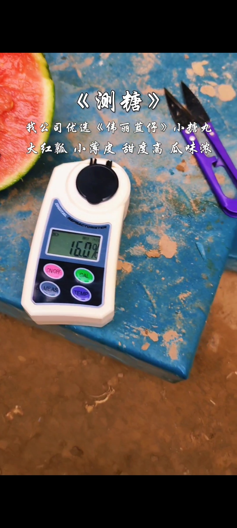 潍坊全美2K西瓜小糖丸西瓜手剥皮西瓜冰淇淋西瓜