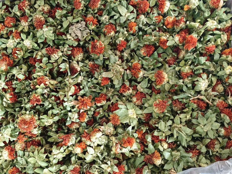 红花果批发红花果红花头可供实体店货源充足量大价优