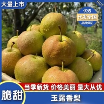 玉露香规格齐全皮薄甜度大电商超市批发零售