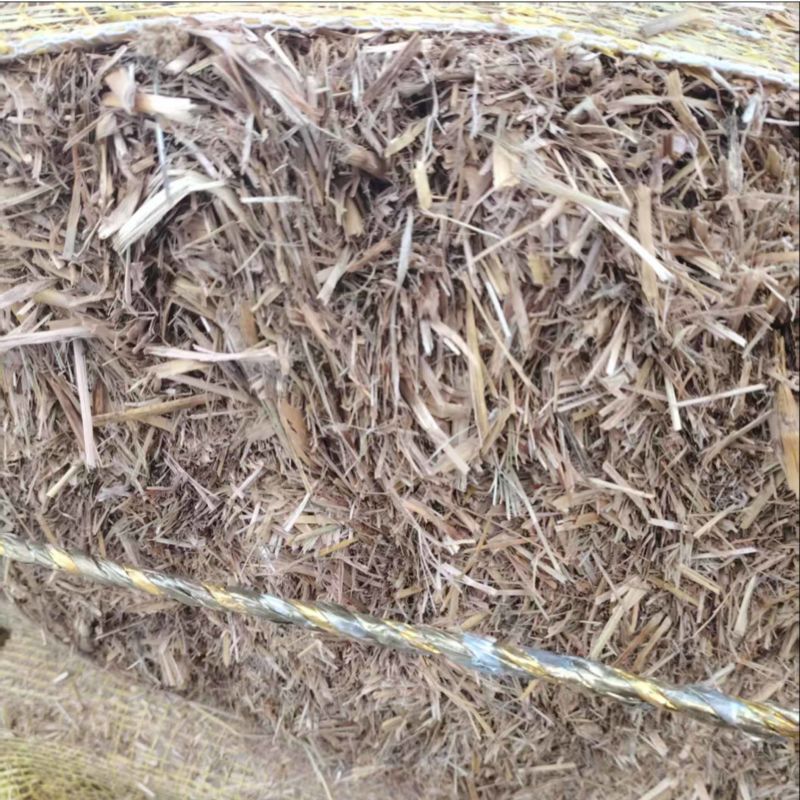 玉米秸秆大量有货整车发货可电联详谈