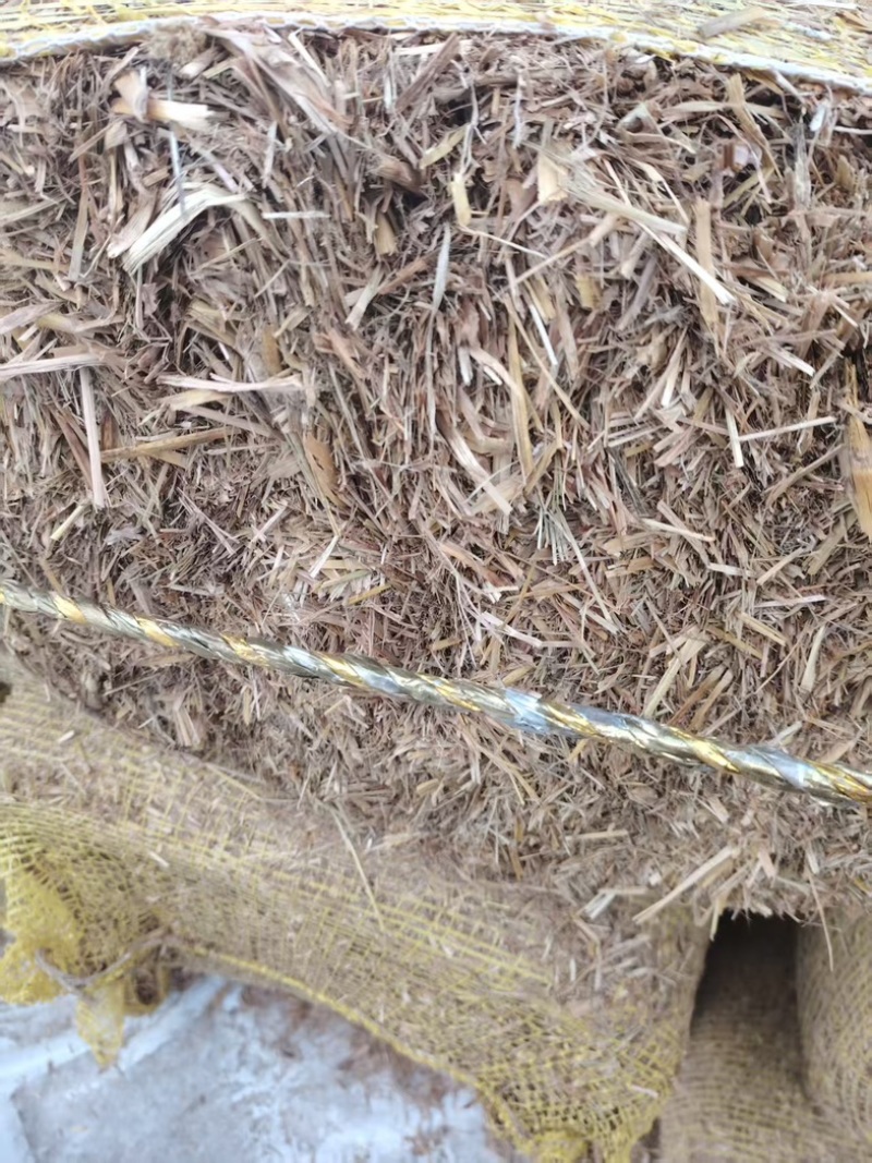 玉米秸秆大量有货整车发货可电联详谈