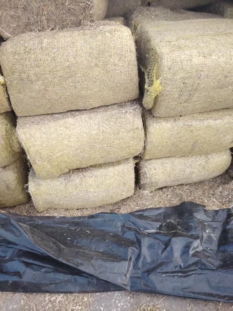玉米秸秆大量有货整车发货可电联详谈