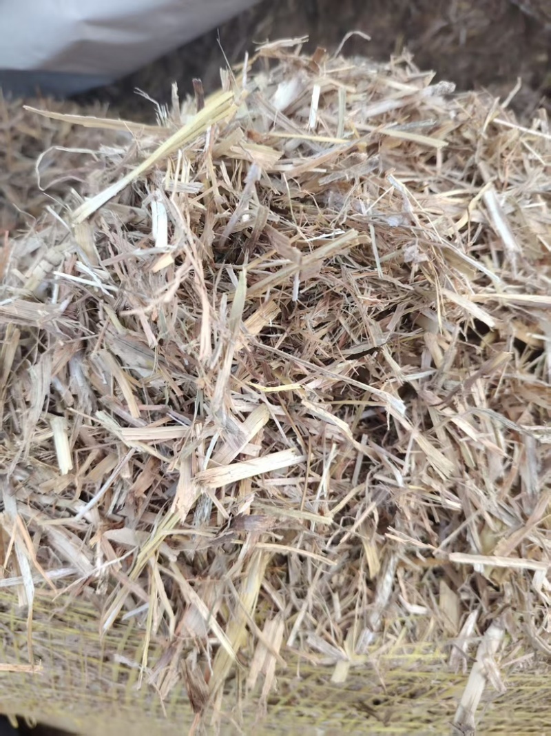 玉米秸秆大量有货整车发货可电联详谈