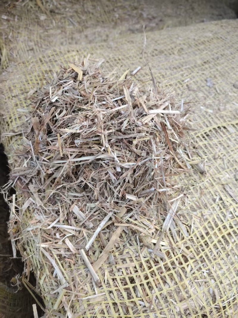 玉米秸秆大量有货整车发货可电联详谈