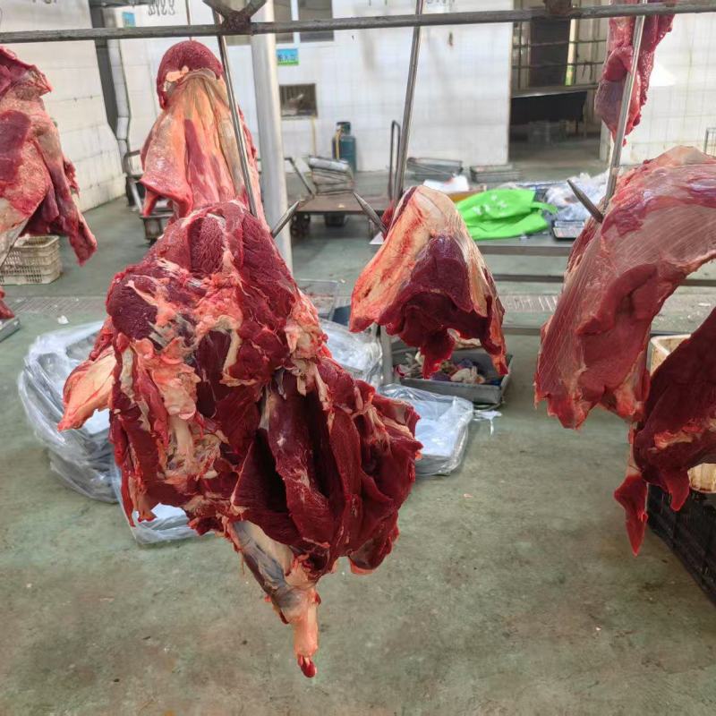 内蒙古精修牛肉四分体