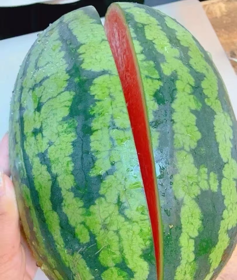 【推荐】甘肃西瓜/甘美4k西瓜/一手货源/基地直发/欢迎