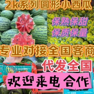 【**推荐】全美2k西瓜，2k西瓜，k2西瓜，小吊瓜