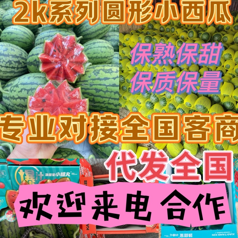 【**推荐】全美2k西瓜，2k西瓜，k2西瓜，小吊瓜