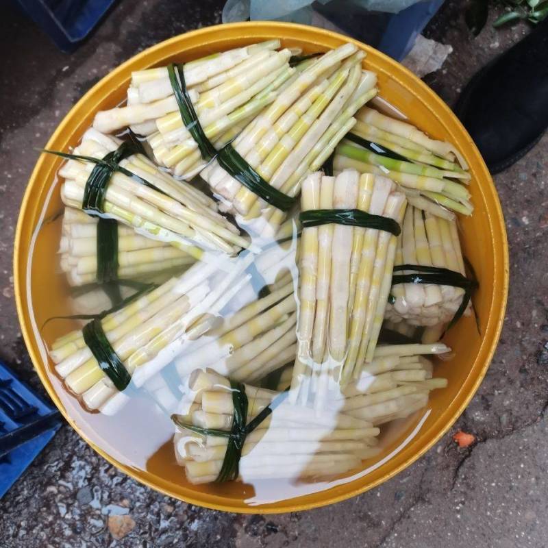 高山木竹笋四月份大量上市产地直供整车走货商超电商代发