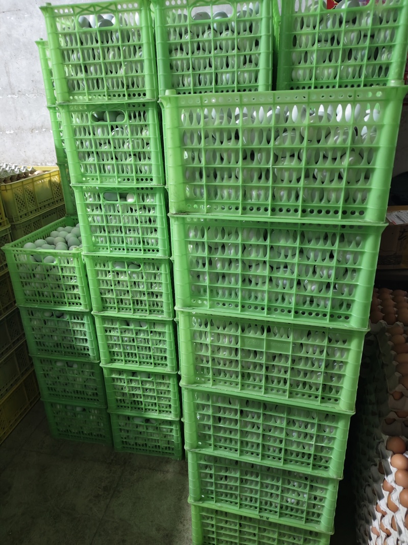 原生态蟹黄咸鸭蛋