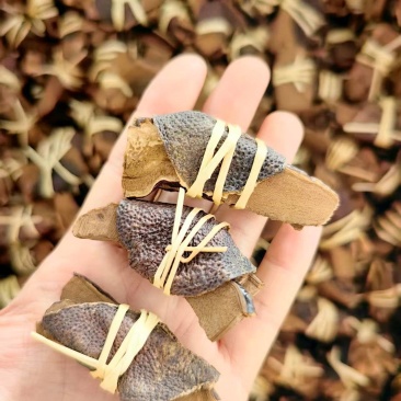 陈皮灵芝陈皮茶