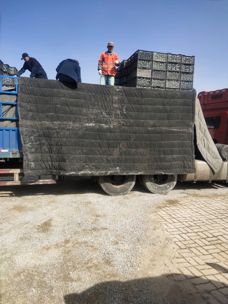 原生态蟹黄咸鸭蛋
